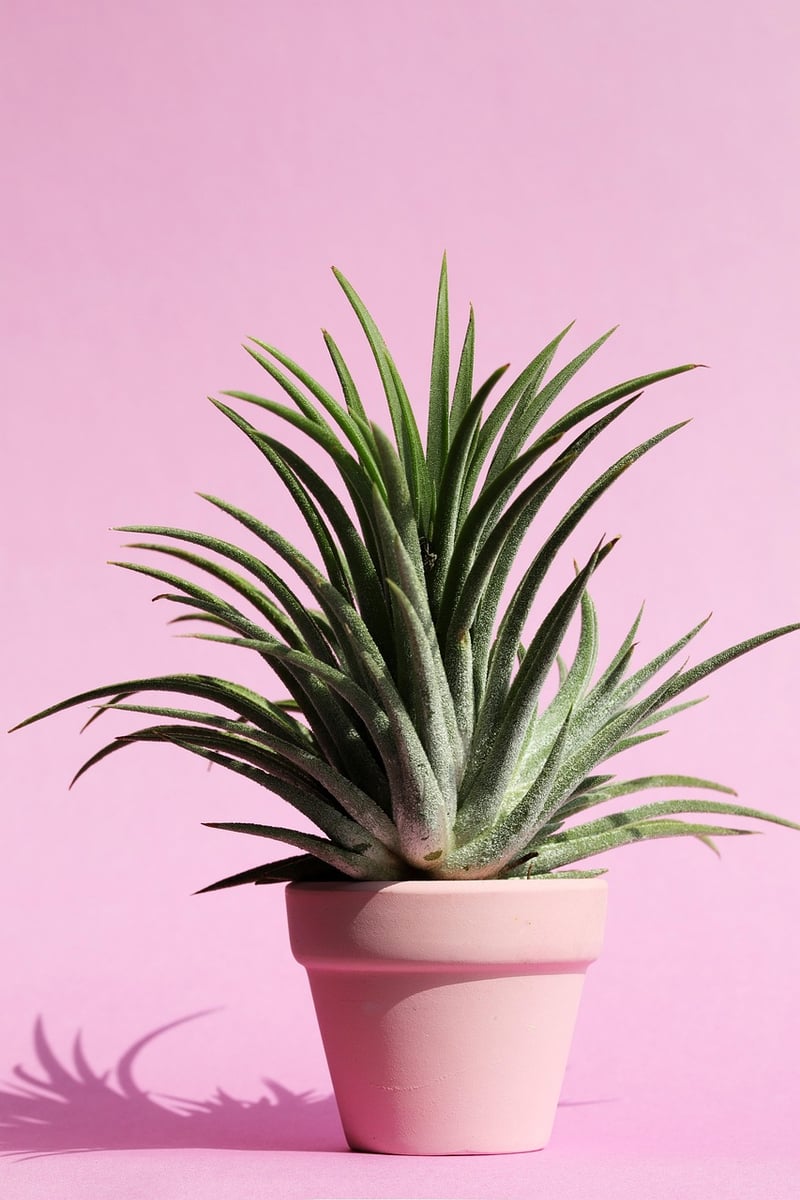 Botanical Home Decor
