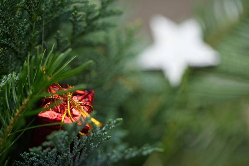Green Gifts